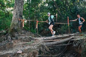 BIB: 
                            <button type="button" onclick="openModal(27307842)" class="btn btn-primary btn-sm float-right btn-popup" data-toggle="modal" data-target=".modal-high-quality">
                        <i class="fas fa-shopping-cart"></i> Add to Cart
                    </button>
                                            <button type="button" onclick="isThisMe(27307842, true)" class="btn btn-success btn-sm float-right btn-popup btn-isme hidden" data-toggle="tooltip" data-placement="bottom" title="นี่คือรูปของคุณใช่ไหม คลิกที่นี่เพื่อเอาเข้าอัลบั้ม">
                        <i class="fas fa-plus"></i> Add to album
                    </button>
                    <button type="button" onclick="isThisMe(27307842, false)" class="btn btn-warning btn-sm float-right btn-popup btn-isnotme hidden">
                        <i class="fas fa-ban"></i> Remove from album
                    </button>